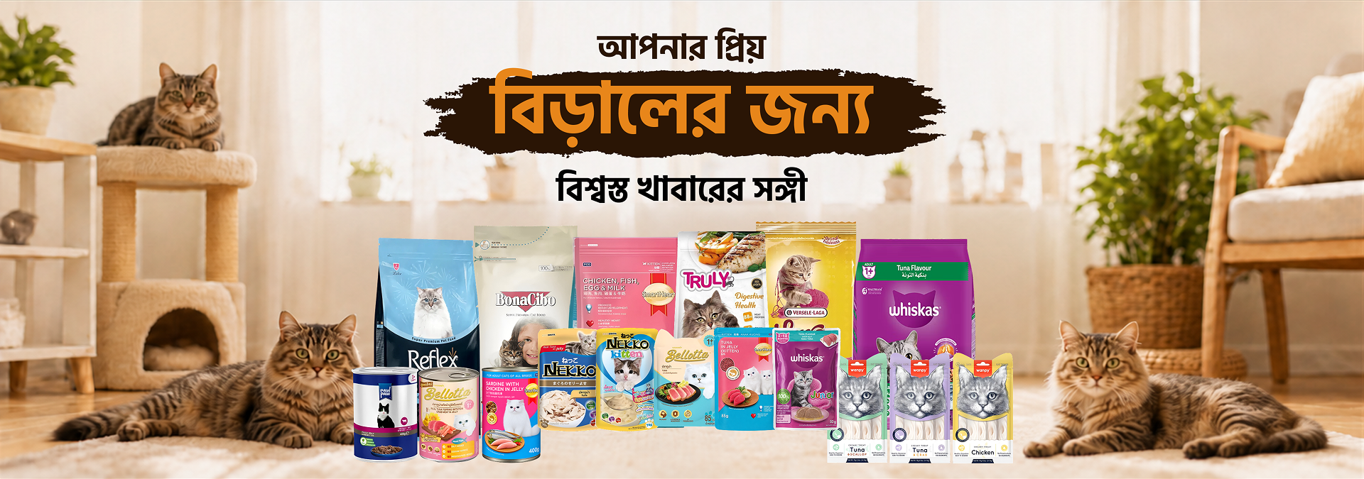 Affordable Cat Litter & Accessories
